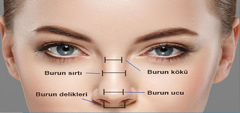 Burun Fonksiyonları